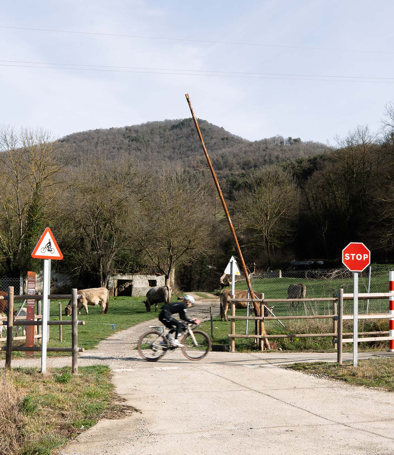 Meeting in the Middle