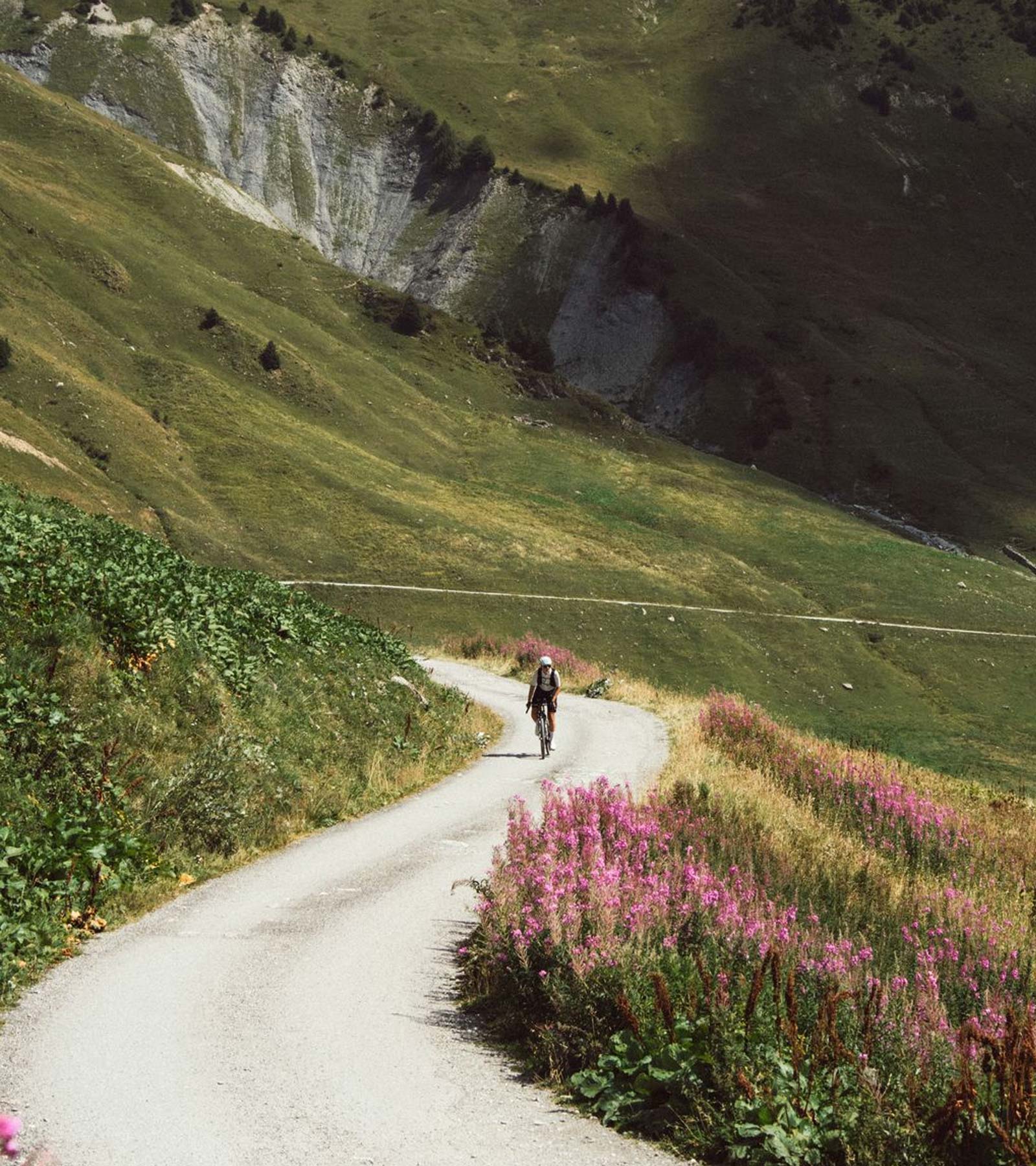 Signature Merino Sock